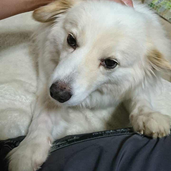 Baca77f2 105d 4a37 b318 a40a4f420b00