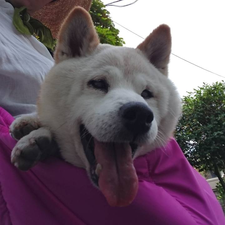 Bacb1f7b 8451 4e8f 9e5a 26f0b1ebf12f