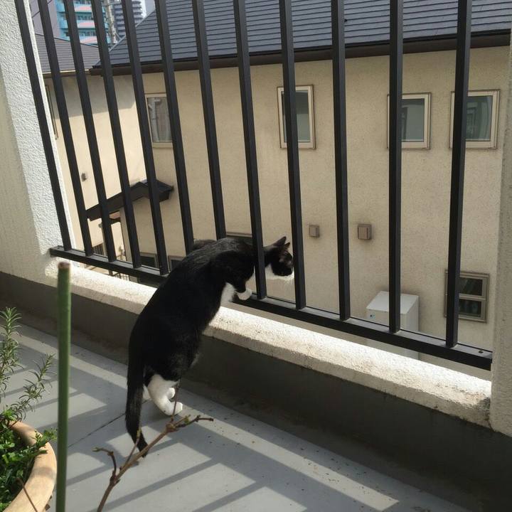 Bacba907 577d 483a bc0f 4b3fac7821a4