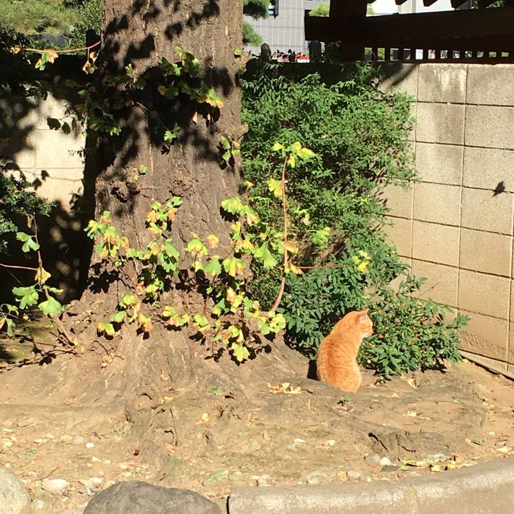 Bacbb667 af3f 41b1 8f2e 28ce6bff0dc9