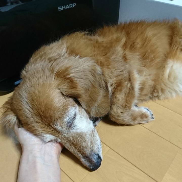 Bacbbff1 f2cf 4029 8b37 50db3da45d05