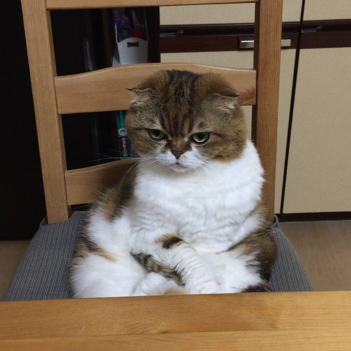 Bacd4d27 ae0b 4aee b137 2d65fbe9f57e