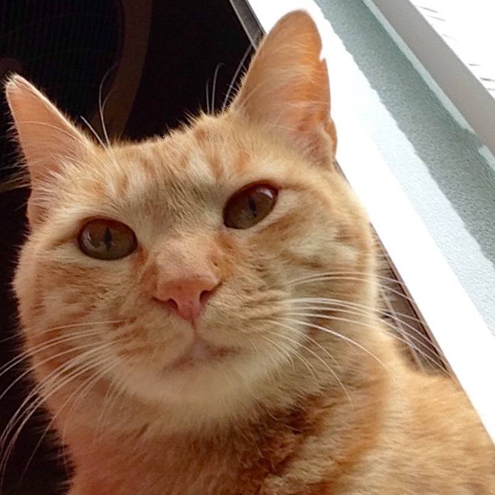 Bacd91a4 5907 48a5 bfd4 80be5c39e021