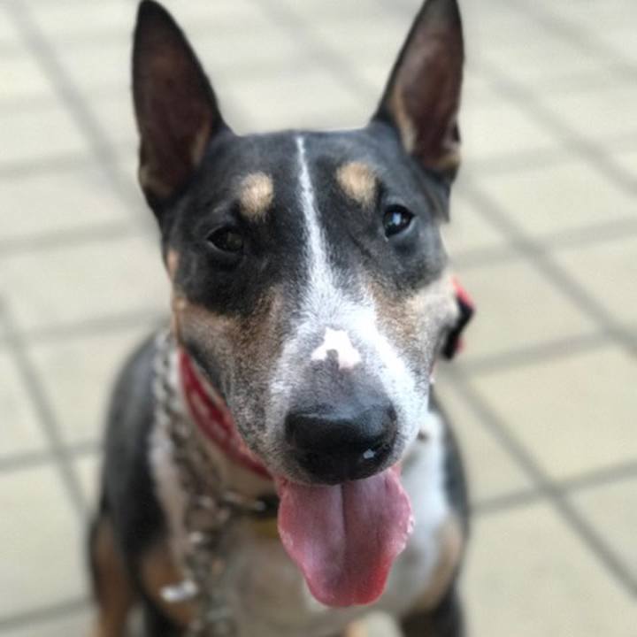 Bacdadc6 7f74 4c09 87c0 c3243447f08e