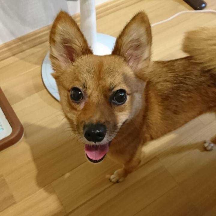 Bacdd41c e3a2 4e67 891f 904f2413dbe3