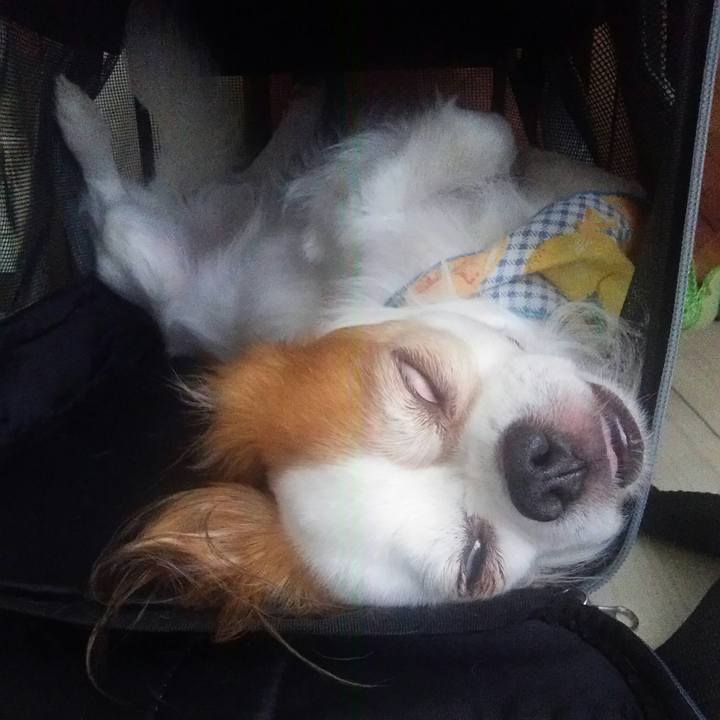 Bace7f0a 2a20 4be3 a7a1 d1d388e7f507