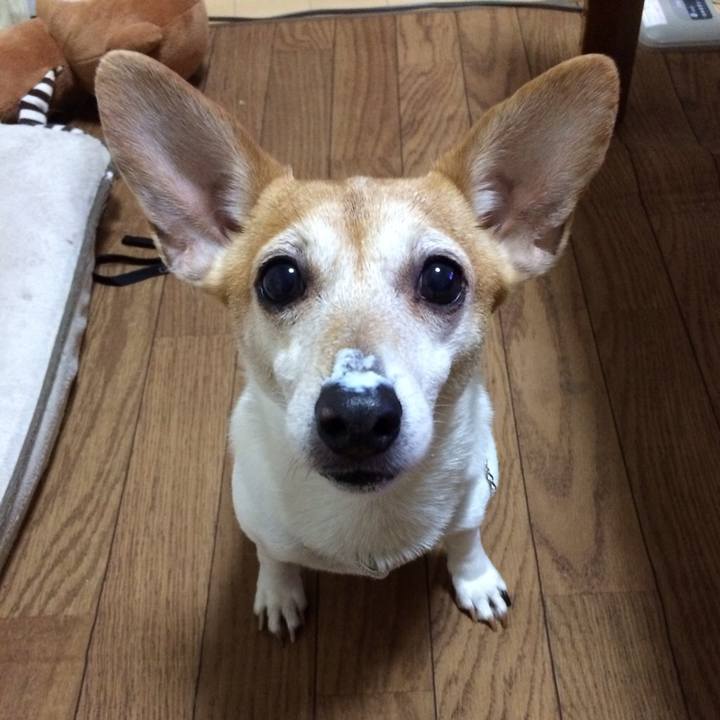 Baceb596 d250 4e4b a228 15cd5b06f4e9