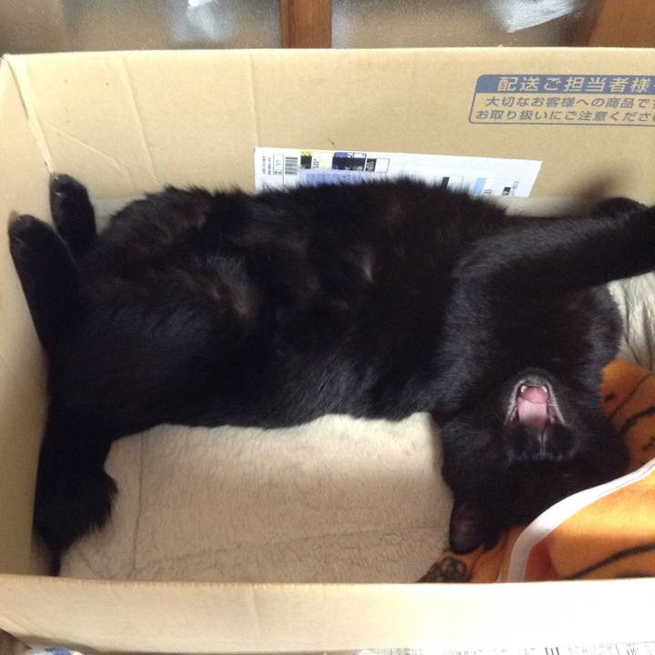 Bacf23b9 b61d 427f 85cc 10114b48fddb