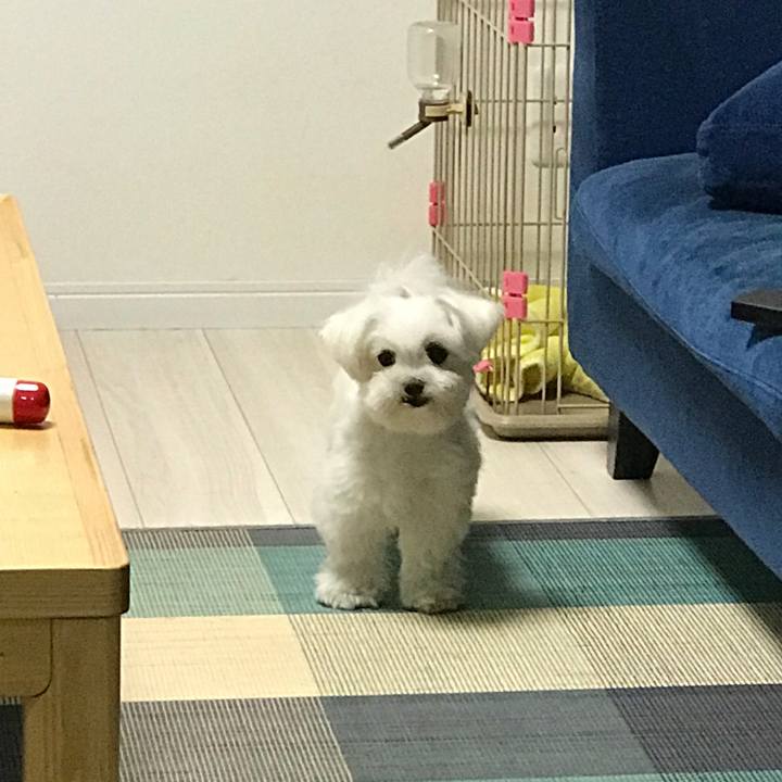 Bad09884 6d0d 4c34 95b0 e34ae8ed072e