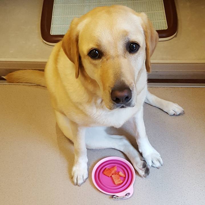 Bad0a261 e034 4dbe 8a50 bbf5bfd101fb