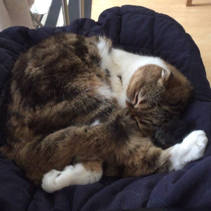 Bad0d811 6525 4d91 9a14 43b0626c4f71