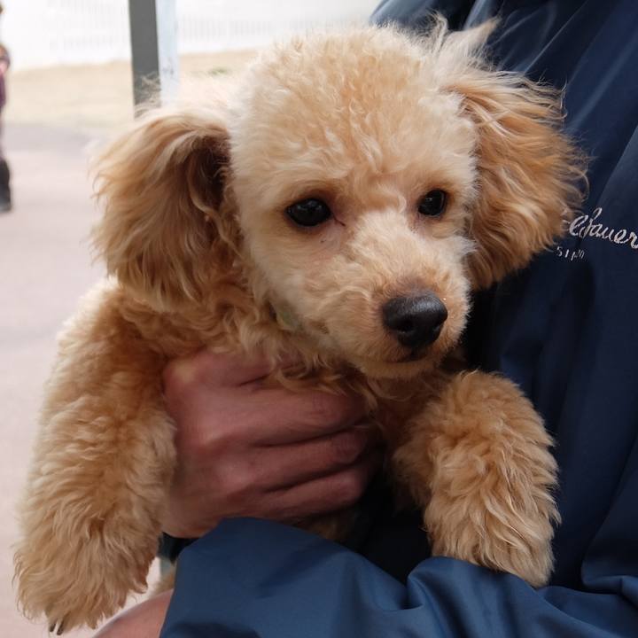 Bad10f69 bae2 4f84 841a d68f5dd7e8f0