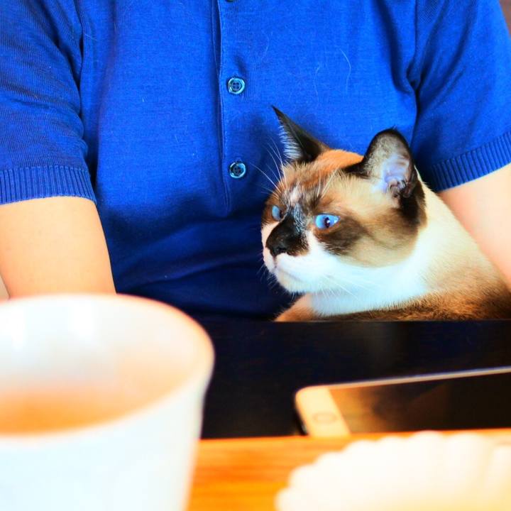 Bad14edd e8cb 4513 b6fb 28d153348d50