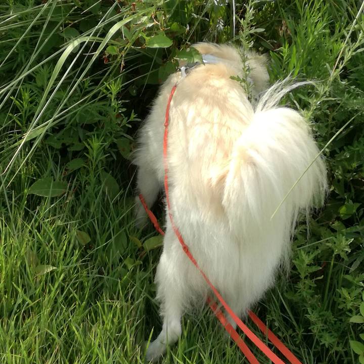 Bad16cf1 1bad 4adf bec6 c4c2a3075bf5