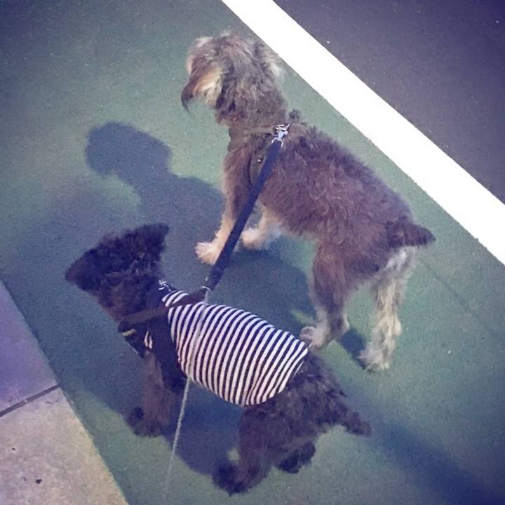 Bad1869d fd53 4d58 a523 506787c892db