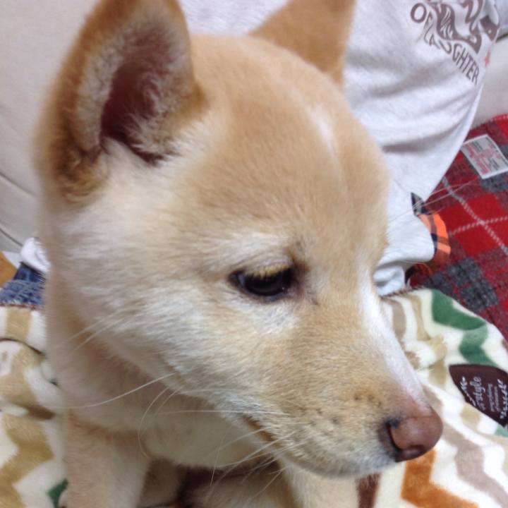 Bad18f2a 680d 4738 a996 13a693f38128