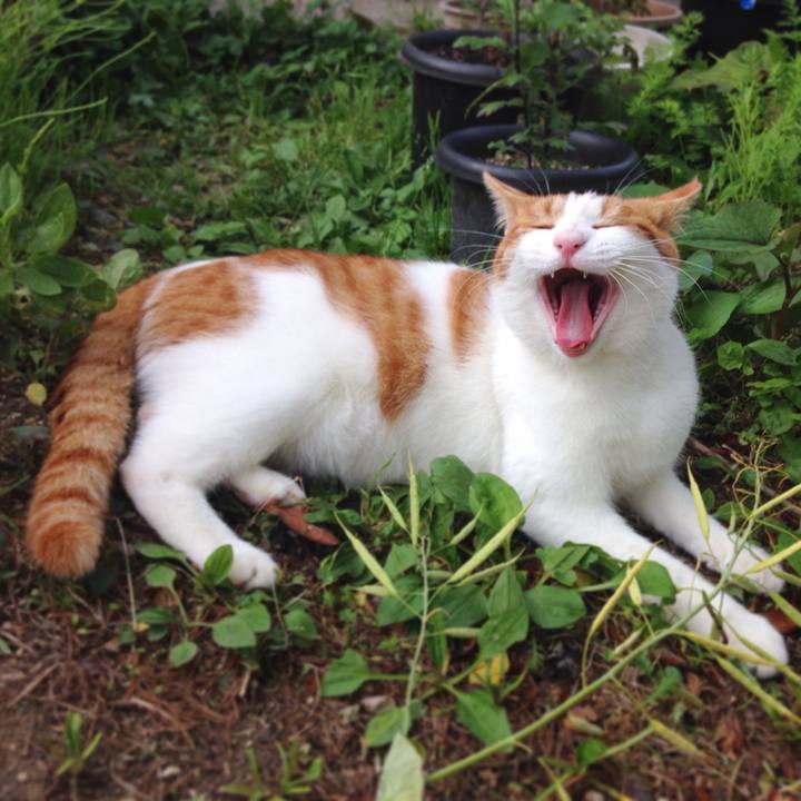 Bad1b28f a5db 496a b6d0 3197f383b69f