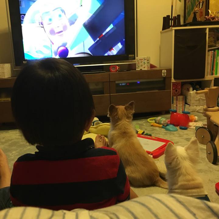 Bad241a4 d892 4a39 b700 23d832cdabae