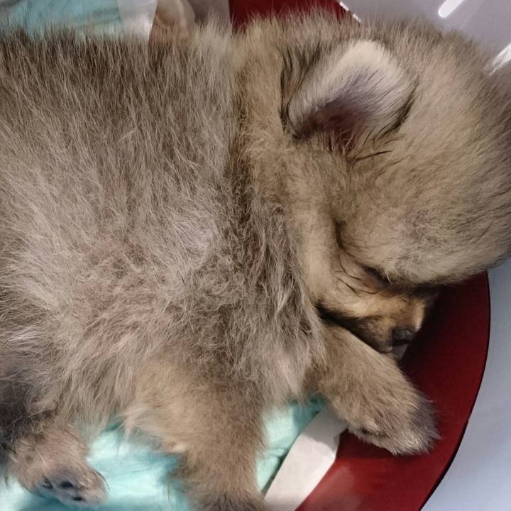 Bad3023a 641c 4d4a 834c a0ee5c8a5296