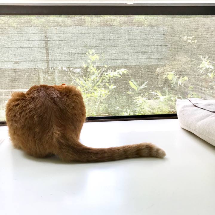 Bad44bef 2458 463c 8f9a 426b9c170048