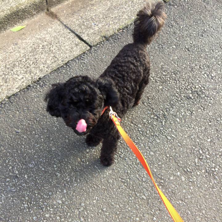 Bad4982d bb0a 4a55 bc2e 4395e846a7be