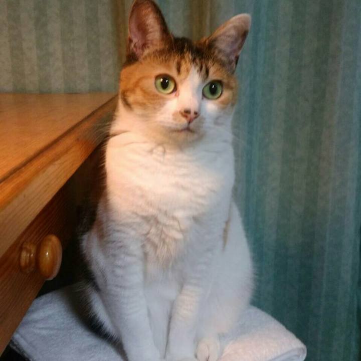 Bad53c84 21f6 4f5d 8548 770944e29adb