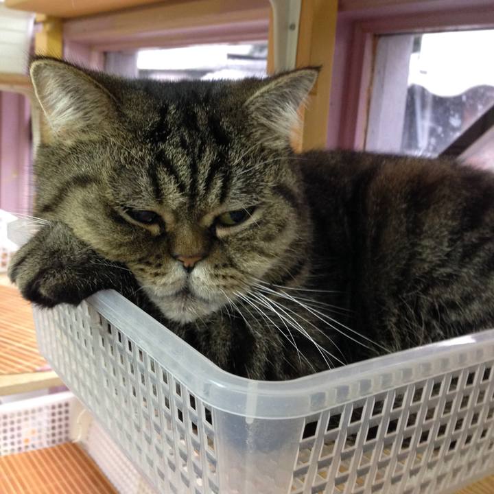 Bad5549c f89e 4bde aa75 21c6131d32e3