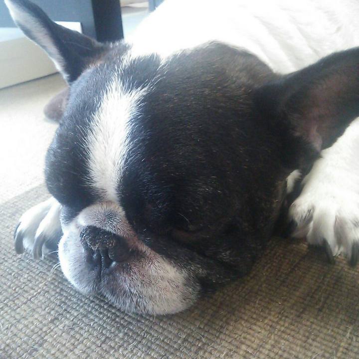 Bad59c3a c5db 4416 bedd b77c882f7463