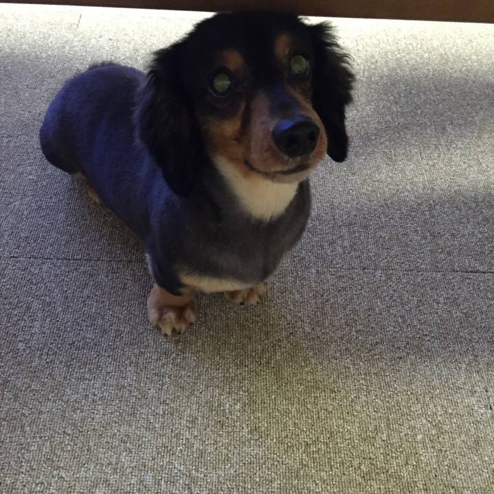 Bad60d73 17ce 4cc6 a80d cc4ced47d108