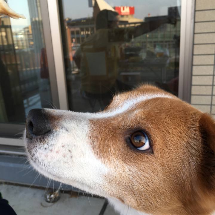 Bad62e99 9fa6 45ff 9916 790e35fecf4b