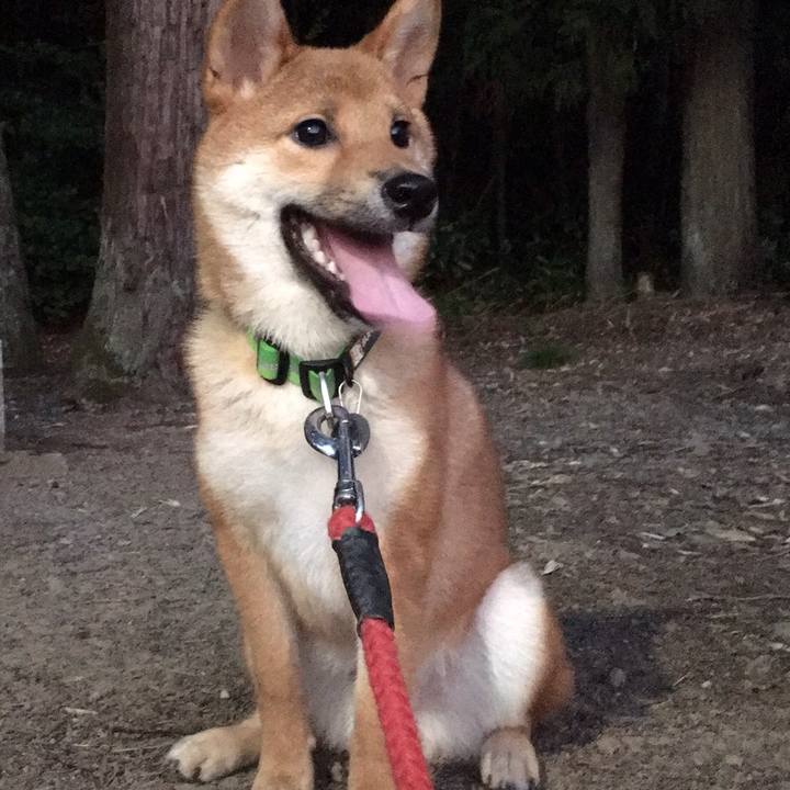 Bad67719 9d90 4d78 a54d 4af942f90951