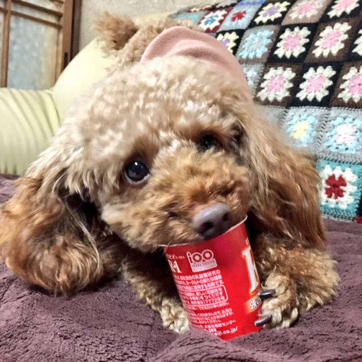 Bad70cb8 3909 4f89 896b 9c361d0ade30