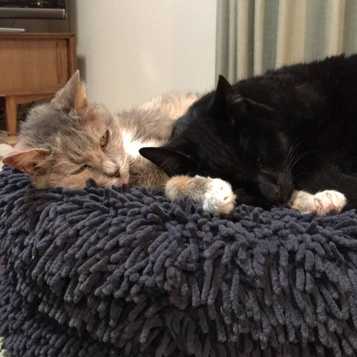 Bad70fda 5d32 4535 bcda 070f3d95415d