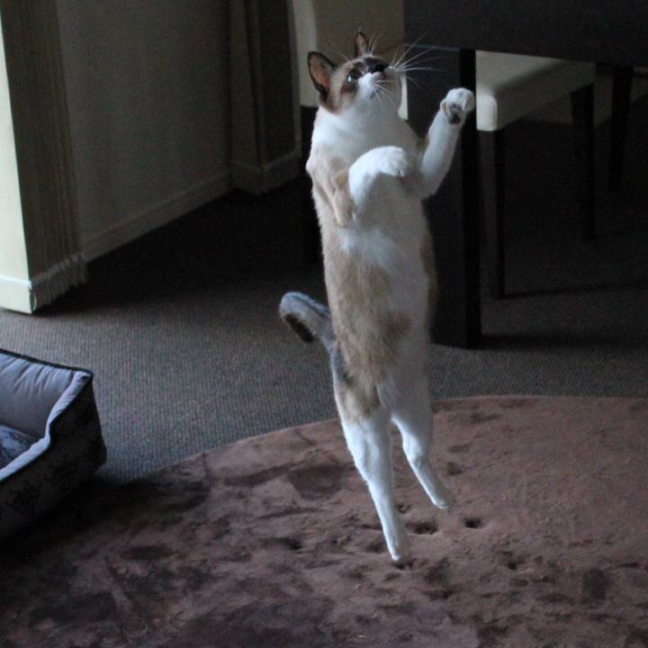 Bad79735 a35a 470d b987 37b8fb629671