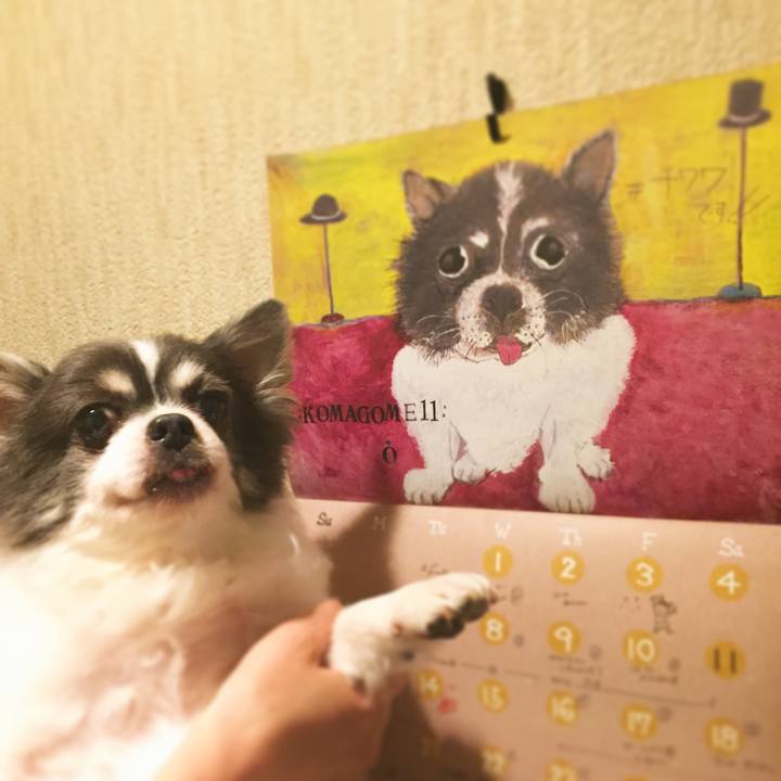 Bad7b5f2 9f8d 443a 9777 866a5d5da58f