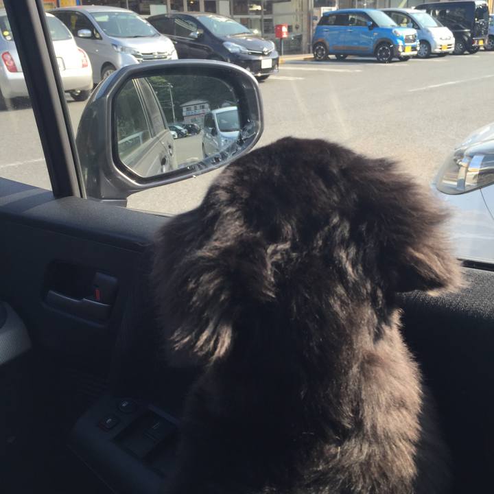 Bad7b934 e433 4ed6 80bb d1620145975e