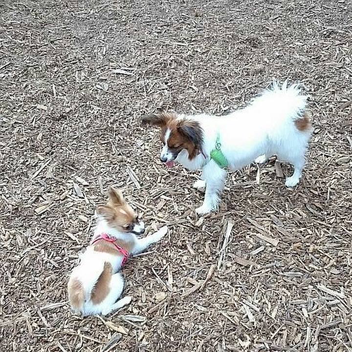 Bad7fa49 6685 4025 a00c 553f0f1d1cc9