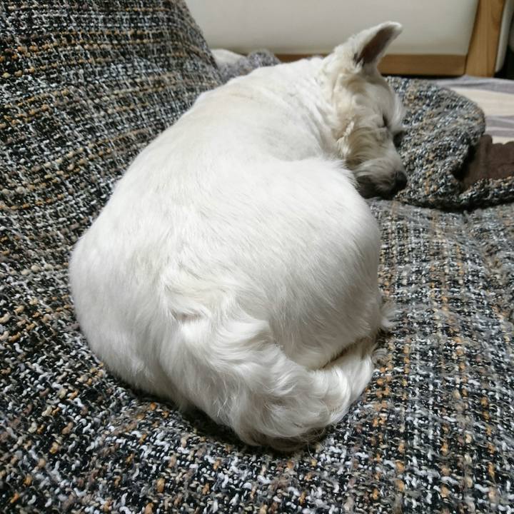 Bad83ab4 bef4 4d23 bdb6 9d37986ad4a9