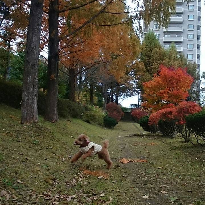 Bad83c3d 639d 4ebf 9297 28f0674c4046