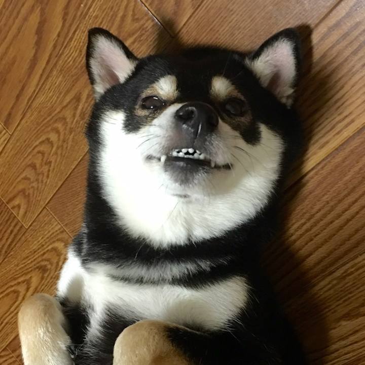 Bad85fcc a034 48f8 ac41 382d59b6dc96