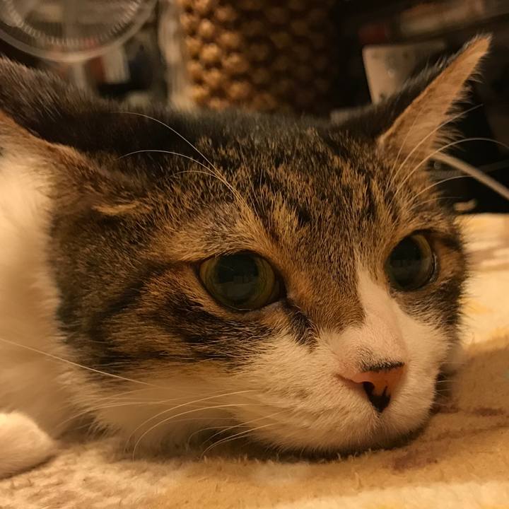 Bad91817 1116 46d2 9f05 2588354ee919