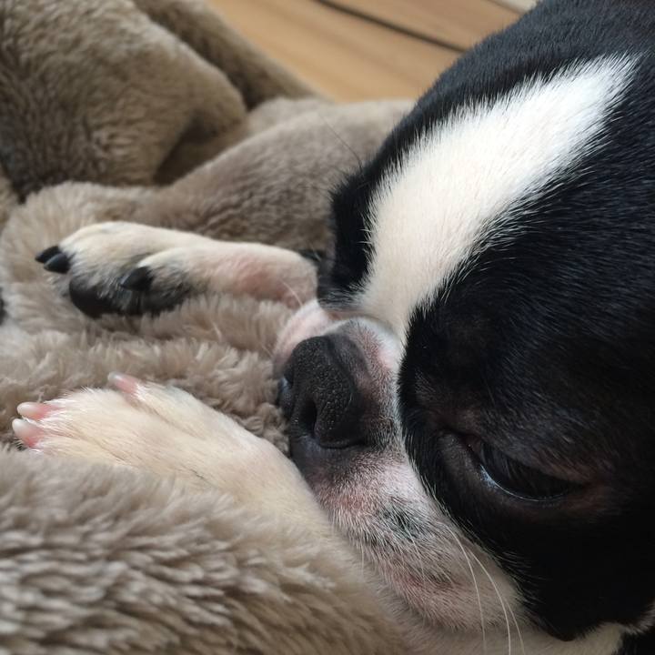 Bad990e1 b810 4aa2 ad31 57aa104da99f