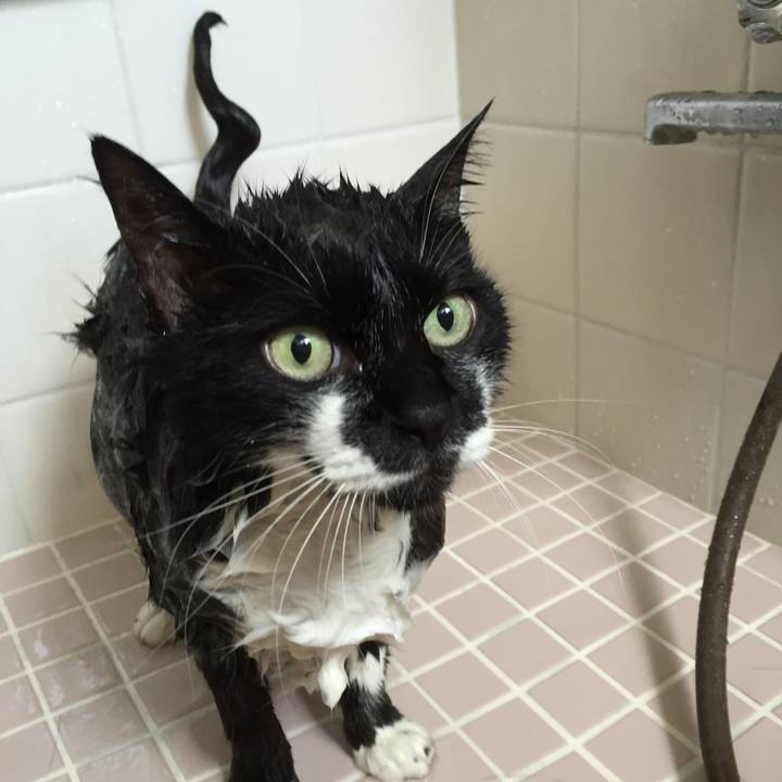 Bada8579 0d8e 44aa b7f5 dfc2b4f104b1