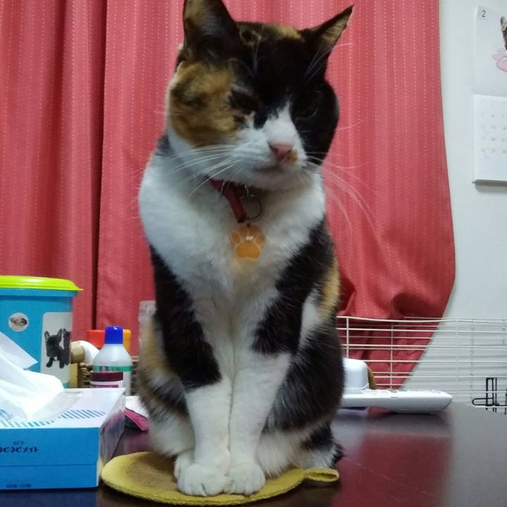 Badaf9b5 7383 490d b6e1 65c5a5f271db