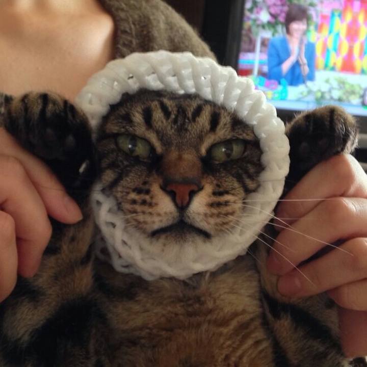 Badb19cb ddc5 4858 b7c2 743b79d52346