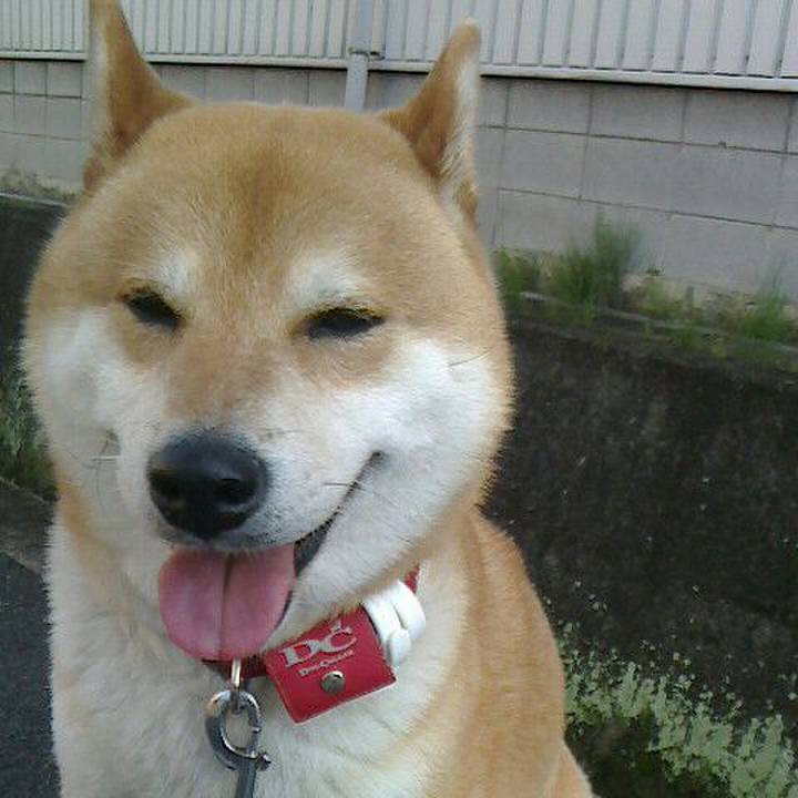 Badb27db ba72 4fa3 8bcd 4a29c93455d1