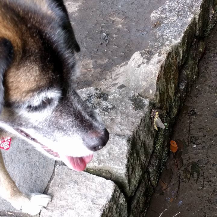 Badbd987 4909 44a8 a9d4 00acb886b67e