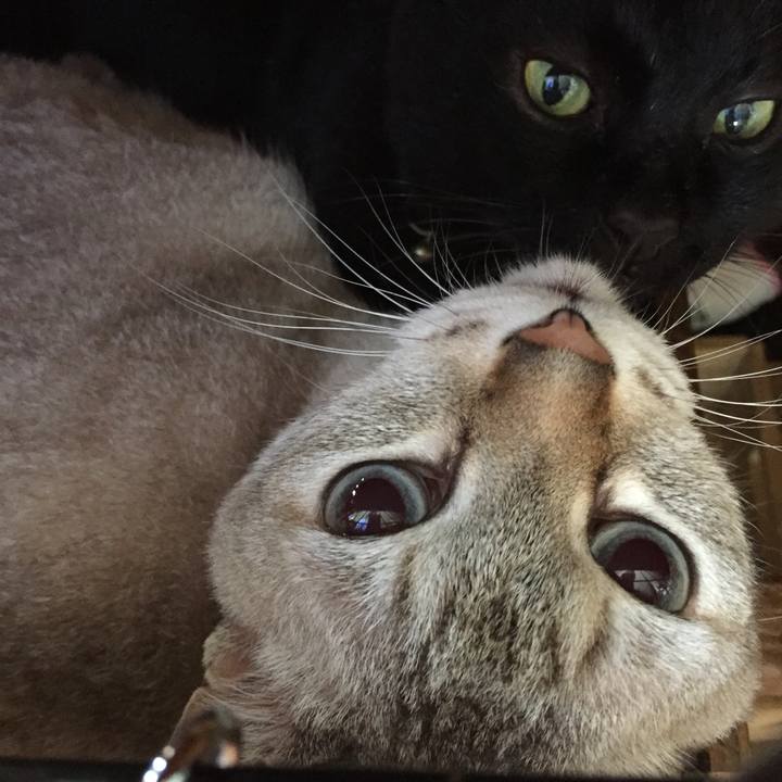 Badc5281 af19 49af 93db 7a23680d977a