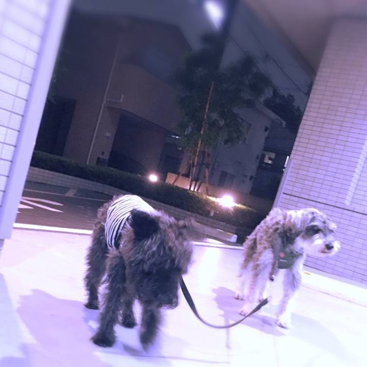 Badd278a b189 46e5 98c5 f68b4f4b9b71