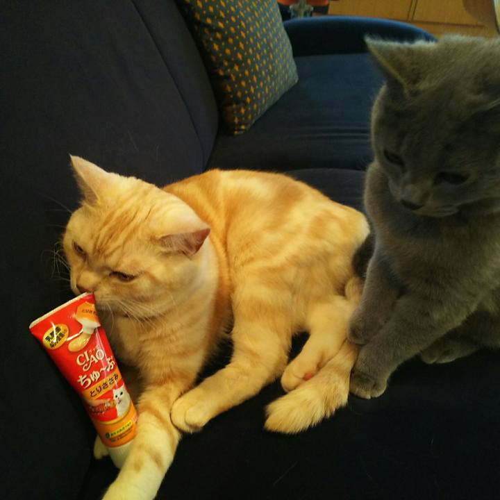 Badd9deb e896 4738 81fa 7e85ecf8e00a